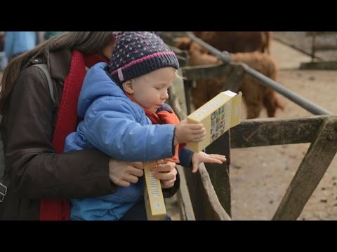 Fuchs und Bär - Episode 3 (Heimat-Tierpark Olderdissen)