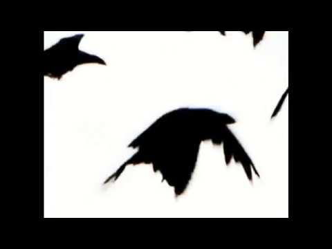 Blank & Jones  - Nuits Blanches