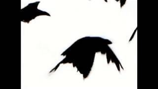 Blank &amp; Jones  - Nuits Blanches