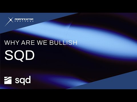 Why Are We Bullish on $SQD?