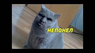 496 СЕКУНД СМЕХА | ЛУЧШИЕ ПРИКОЛЫ 2018 АВГУСТ #25 (Перезалив 14.08.2018)