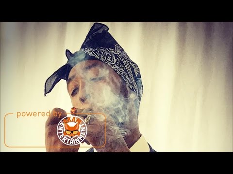 Vershon - Too Young (Jahmiel Diss) [Connection Riddim] March 2017