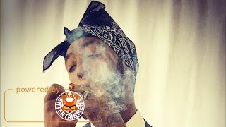 Vershon - Too Young (Jahmiel Diss) [Connection Riddim] March 2017