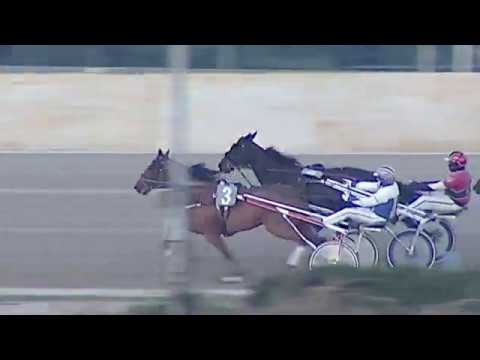 Aversa trotto 8 Febbraio 2020 - 5° Corsa