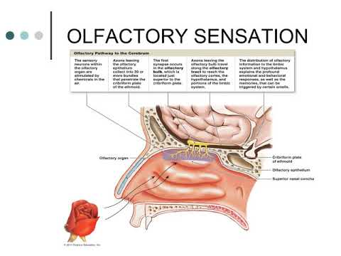 CHAPTER 14 Recorded Lecture