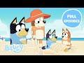 LIVE Exploring The Outdoors With Bluey 40 MINUTES Best Outdoor Full Episodes Bluey