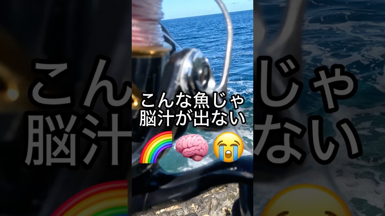 【磯釣り】このレベルの魚でも脳汁が出ない体になってしまった