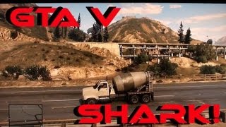 GTA V Shark!