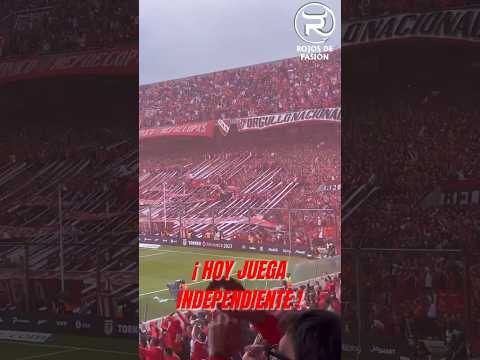 "DALE QUE HOY JUEGA #INDEPENDIENTE !!!" Barra: La Barra del Rojo • Club: Independiente