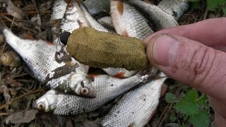 Ссылка