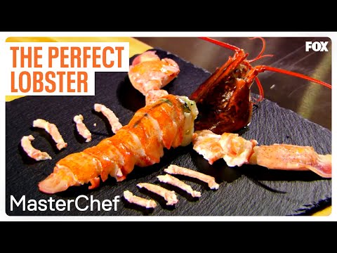 Gordon Ramsay Demonstrates How To Cook The Perfect Lobster | Season 7 Ep. 6 | MASTERCHEF