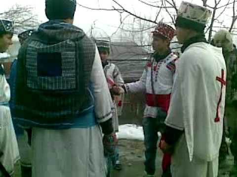 irozii goleasca anul 2010