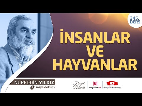 İnsanlar ve Hayvanlar - Hayat Rehberi - Nureddin Yıldız