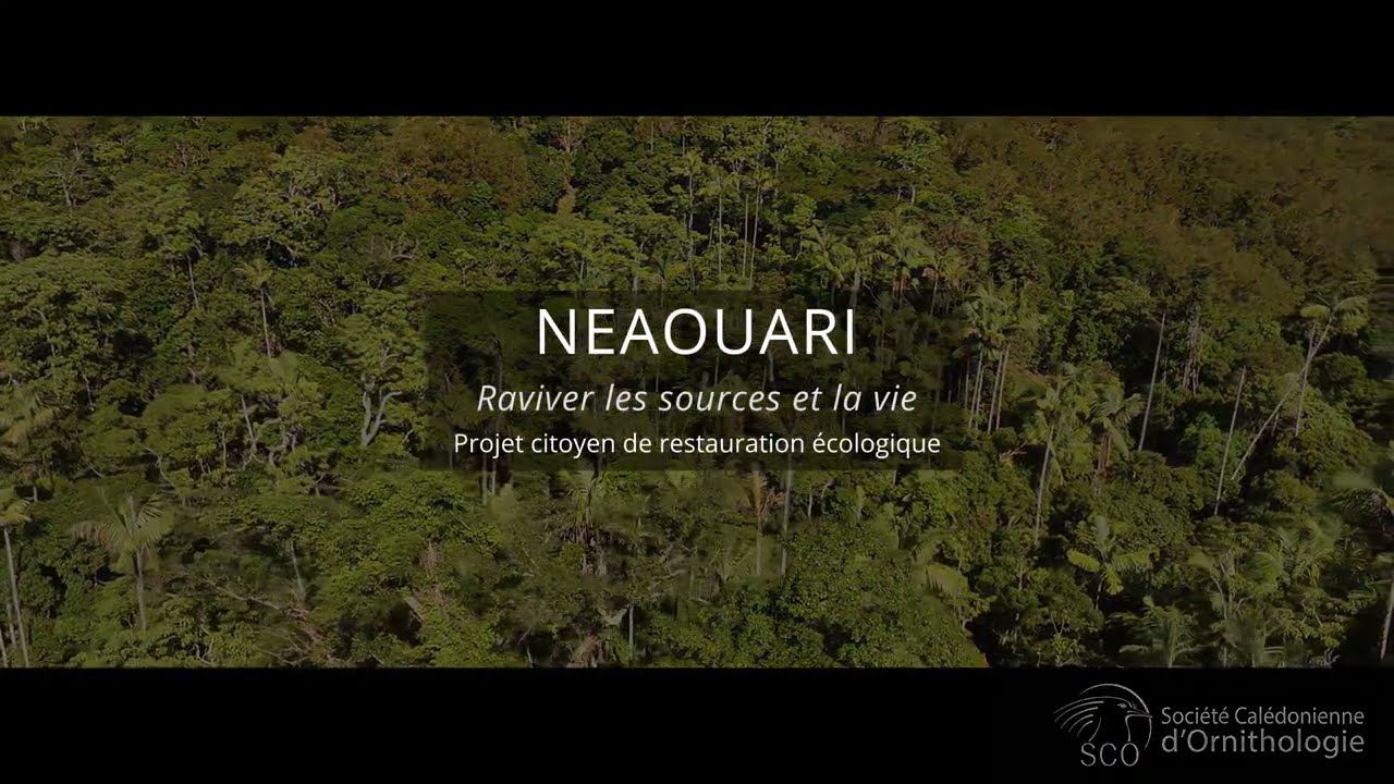 Vignette vidéo Néaouari - Raviver les sources et la vie