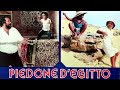 LIVE Sul Film Di Bud Spencer PIEDONE Di EGITTO