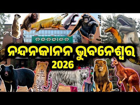Nandankanan Bhubaneswar | Nandankanan Zoological Park | 2nd Largest Zoo of India | Odisha Zoo