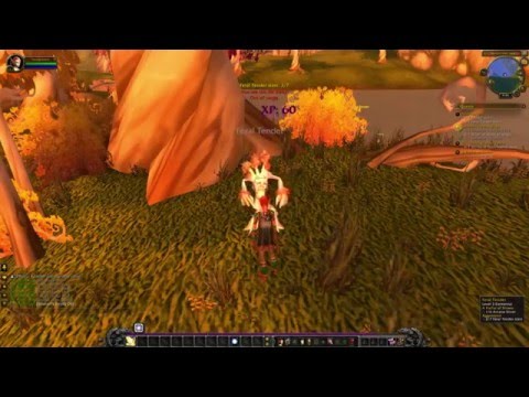 World of Warcraft: The Road to Lady Liadrin - Part 1