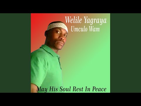 Welile- Amaziyoni Egida