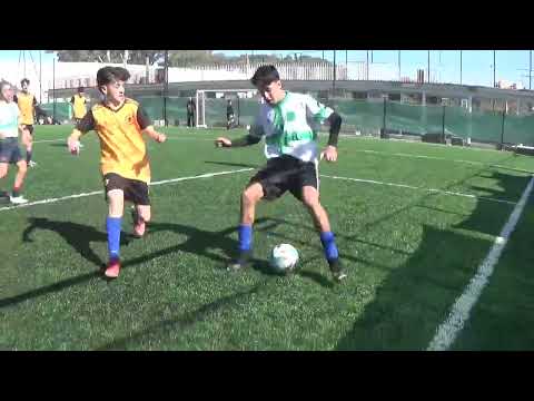 AMSTORG VS BOLAS DE MONO - #LigaNuñez - S15 - 28/8/2022