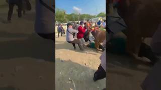 Download lagu Insiden Kerapan Sapi Tabrak Penonton Pak Polisi Terpental mp3