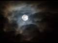 Artie Shaw - Nightmare - fischkopf Artie Shaw - Nightmare