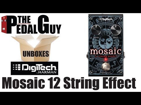 ThePedalGuy Unboxes the Digitech Mosaic 12 String Effect Pedal
