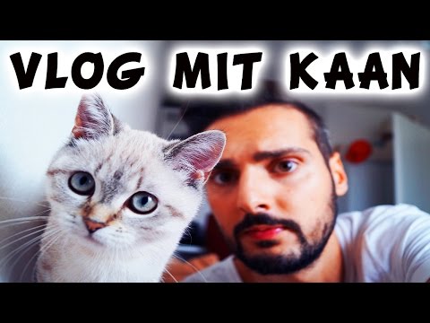 VLOG: KAANS BESTE FREUNDIN SAMIRA! Katze macht nur Unsinn! Spiel mit mir
