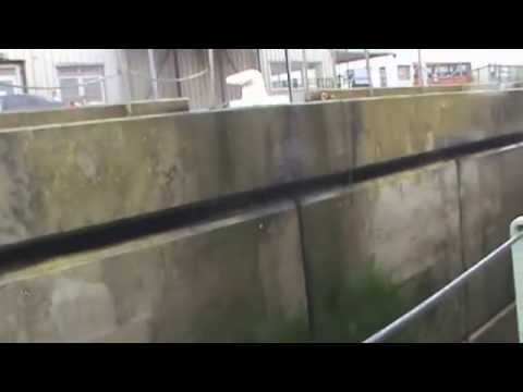 HMS LANCASTER Dover Part 2