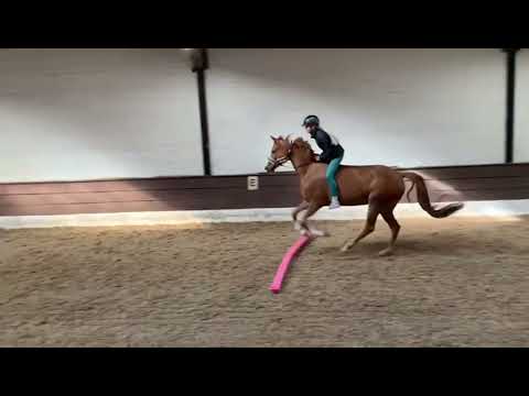 TRIXI 4j. v. The Braes My Mobility - Londonderry VB 12.000,- Euro