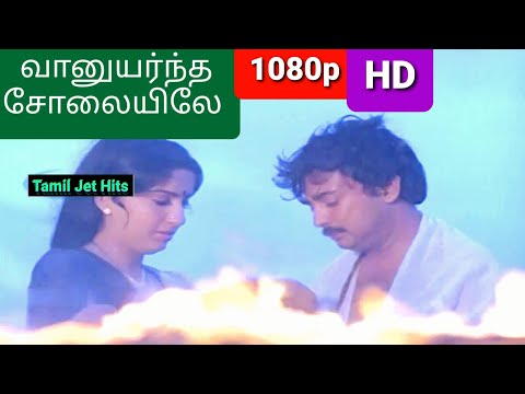 வானுயர்ந்த சோலையிலே 1080p HD video Song/Vaanuyarntha/இதய கோவில்/இளையராஜா/S.P.B/Mohan hits/80'S Hits