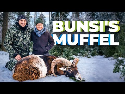 Muffeljagd - Bunsi wird zum Muffel-Jäger geschlagen! #nordjagd