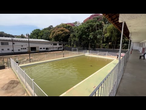 Tratamos uma Piscina Semi Olímpica com Água de Rio #foryou #fy #limpeza #satisfying #viral #pool