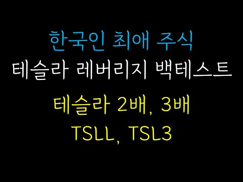 테슬라,TSLL,TSL3 레버리지 | 매일 1000원씩 적립식 매수했다면 수익률은 얼마일까?! 2010-06-29 ~ 2025-04-01