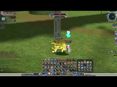 RF Online Playpark 2 Cora vs 1 Accretia - 2vs1 pero tatakbo pa din