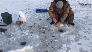 Самодуры при ловле корюшки в приморье