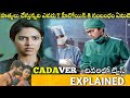#Cadaver Full Movie Story Explained| Amala Paul| cadaver Review| Disney Plus Hotstar| Telugu Movies