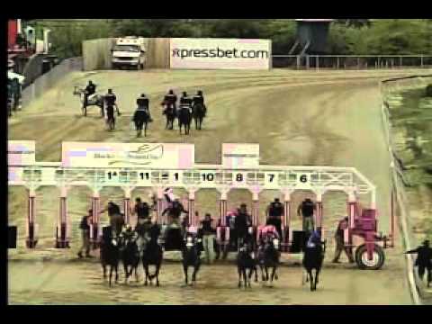 Pimlico 5/16/14 race 8