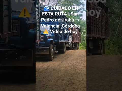 ⚠️ Represamiento San Pedro de Urabá – Valencia, Córdoba. Lluvias generaron acumulación de agua.