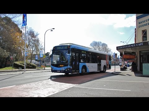 Sydney Buses 2483: Scania K280UB (ZF/Custom Coaches CB80)