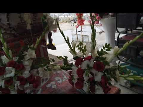 Azam tanoli dj fresh flowers mansehra 03009182880