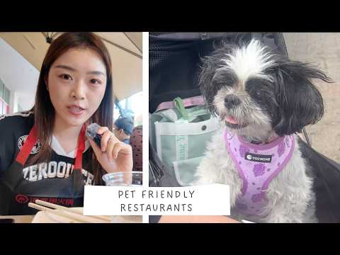 Dog Friendly Restaurants Syracuse