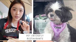 Trying Dog Friendly Restaurants In The Bay Area | Eating with Mom & Beeboo