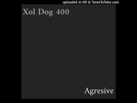 Xol Dog 400 - Agresive