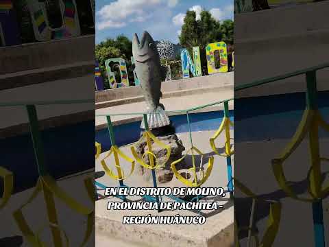 MOLINO - PACHITEA - HUÁNUCO