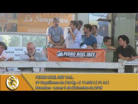 03-12-18  Venta de Hembras - Pedro Noel Irey SRL - Brandsen