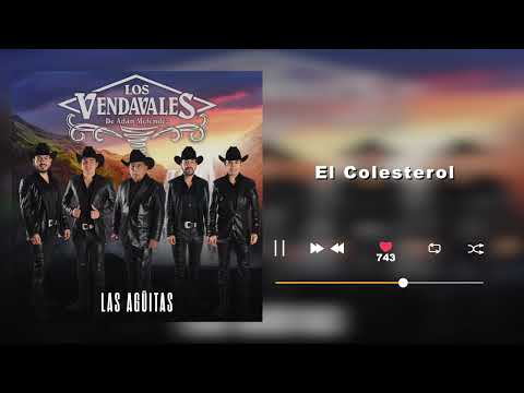 Los Vendavales De Adán Meléndez - El Colesterol - Las Agüitas  (Audio)