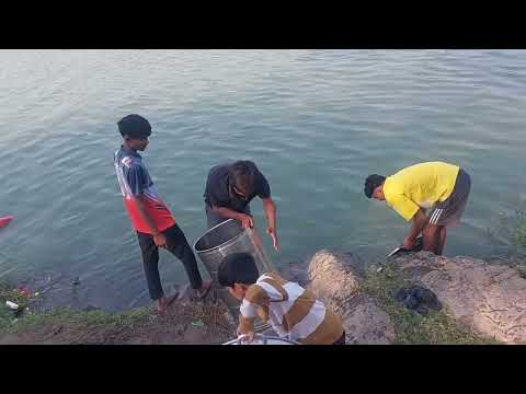 365 DAY VLOG challenge I DAY 33 