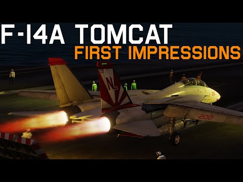 DCS F-14A Tomcat First Flight & First Impressions!