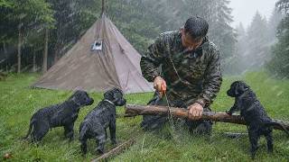 Hot Tent Camping With 3 Puppies in Heavy Rain… They Were Shaking From Cold ⛈️🐶 MQDEFAULT Thumbnail