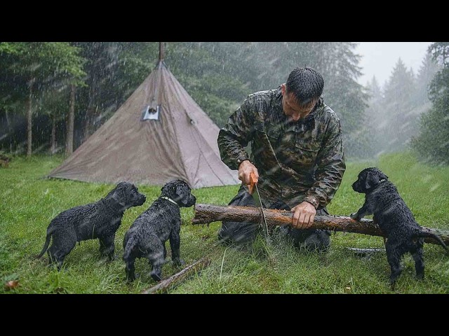 Hot Tent Camping With 3 Puppies in Heavy Rain… They Were Shaking From Cold ⛈️🐶 SDDEFAULT Thumbnail